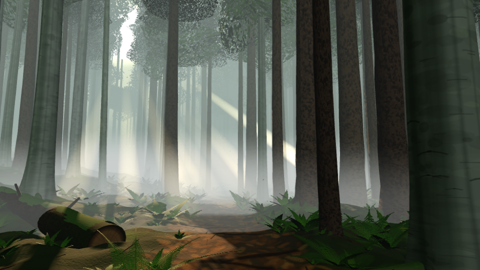 Misty Forest