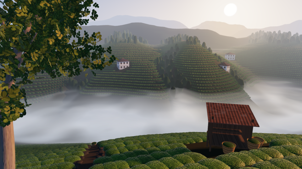 Tea Terraces
