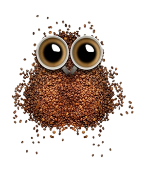 owl coffee beans