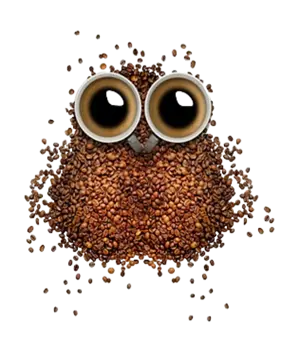 owl coffee beans