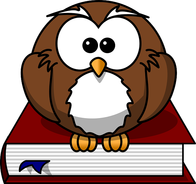 owl on book