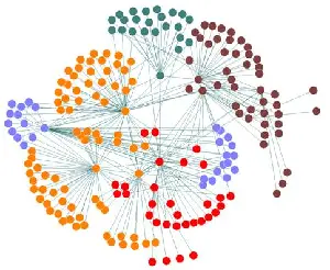 social network analysis